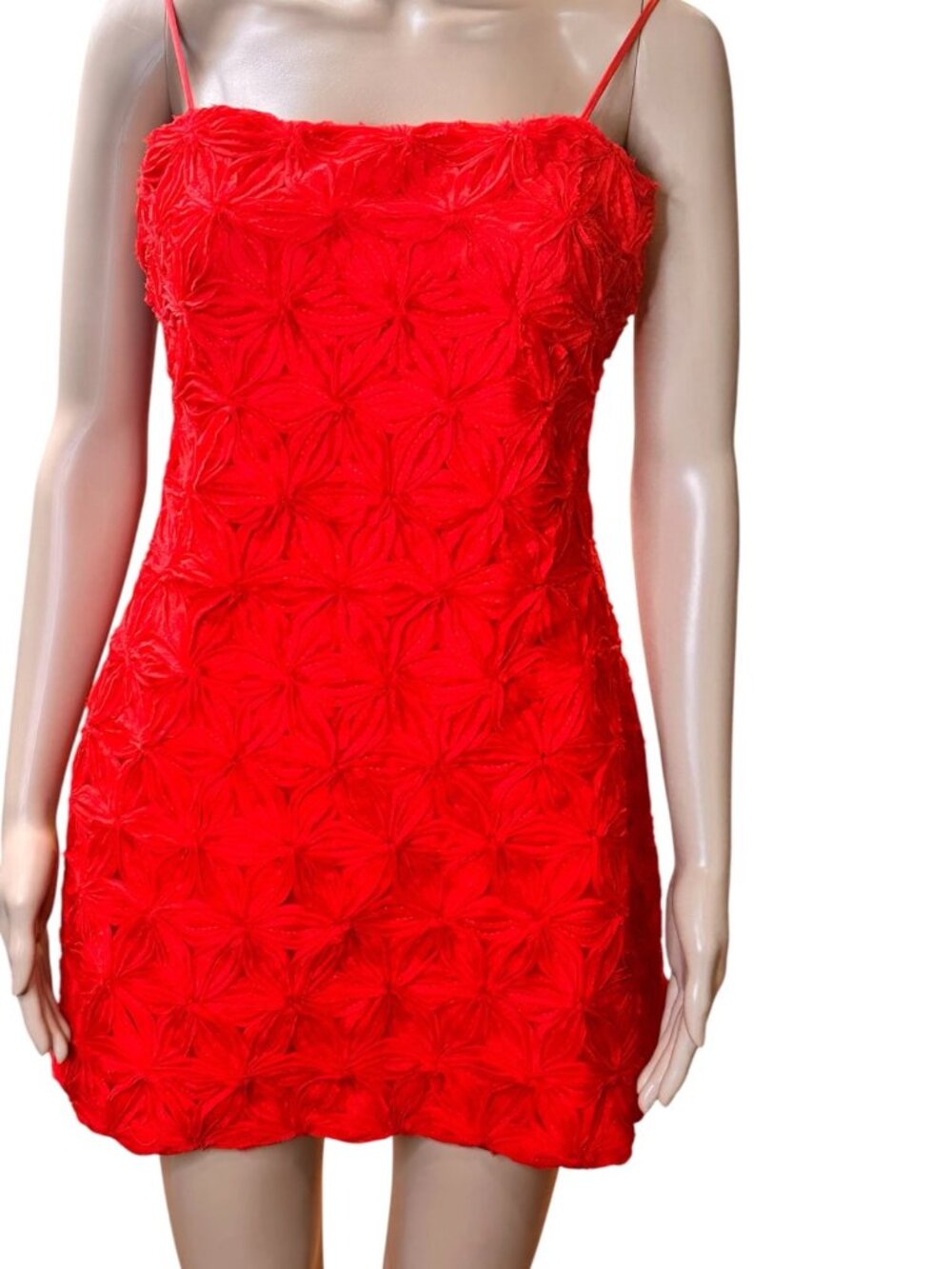 ASTR the Label 3D Floral Women’s Dress Size Small Mini Cocktail Party Dress